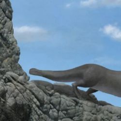 Imagen ilustrativa de la milenaria ballena cuadrúpeda descubierta en Perú.