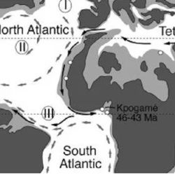 Lugares donde habitó la ballena de cuatro patas hace 42.600.000 de años.