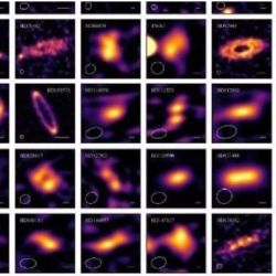 Los 74 cinturones de exocometas descubiertos.