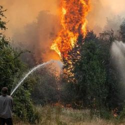 Más de 37.000 hectáreas ya fueron arrasadas en Chubut, Neuquén y en Río Negro.