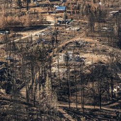 El daño ambiental es devastador. 