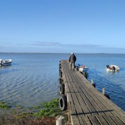 Anuncian más de $ 10.000.000 en premios, con un tracker 6,20 m, con motor 0 km de premio principal a la pieza mayor de pejerrey. Además, habrá botes, motores y artículos de pesca en el resto de las gratificaciones. 