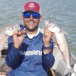 Anuncian más de $ 10.000.000 en premios, con un tracker 6,20 m, con motor 0 km de premio principal a la pieza mayor de pejerrey. Además, habrá botes, motores y artículos de pesca en el resto de las gratificaciones. 