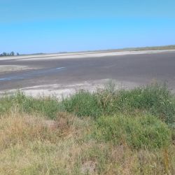 La actualidad de Indio Muerto es muy complicada, con una laguna prácticamente seca.