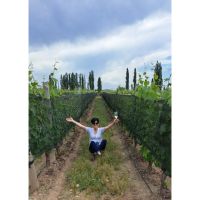Descubre el Vino con Todos los Sentidos: Las Nuevas Experiencias de Cepas y Maridajes