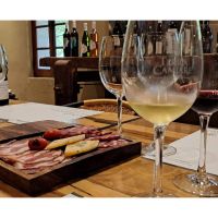 Descubre el Vino con Todos los Sentidos: Las Nuevas Experiencias de Cepas y Maridajes