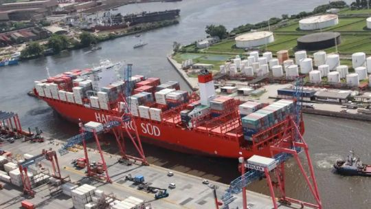 Cómo enfrentar los aranceles de Trump: “Se necesita una estrategia diplomática para evitar que las exportaciones argentinas sean afectadas”