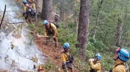 Incendio Parque Lanin