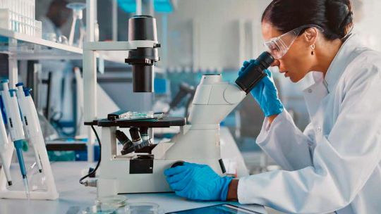 El empleo de las mujeres mucho más expuesto a la IA generativa, según nuevo informe de la OIT