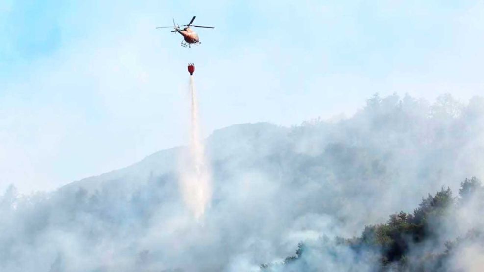 16_02_2025_incendio_neuquen_gzaprovincianeuquen_g