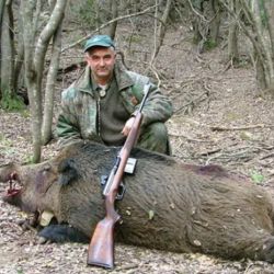 La prórroga abarca solo a la caza del jabalí con armas.