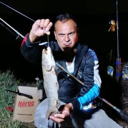 Las carnadas que tuvieron mayores respuestas en esta ocasión para los más grandes fueron las postas de sábalos, anguila y ranas, extrayendo toda la variedad de especies de río, como dorados, tarariras, manduvas, rayas, patíes, bagres blancos y amarillos.