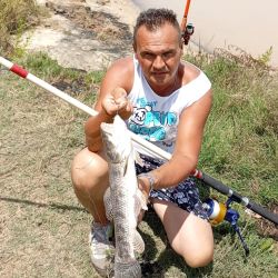 Las carnadas que tuvieron mayores respuestas en esta ocasión para los más grandes fueron las postas de sábalos, anguila y ranas, extrayendo toda la variedad de especies de río, como dorados, tarariras, manduvas, rayas, patíes, bagres blancos y amarillos.