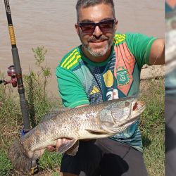 Las carnadas que tuvieron mayores respuestas en esta ocasión para los más grandes fueron las postas de sábalos, anguila y ranas, extrayendo toda la variedad de especies de río, como dorados, tarariras, manduvas, rayas, patíes, bagres blancos y amarillos.