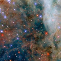 Imagen de las nubes de gas y polvo cerca de la Nebulosa de la Tarántula,