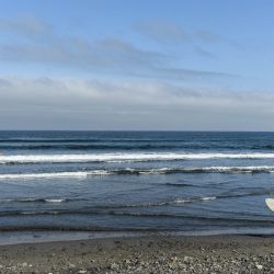 Surfistas caminan por una playa durante la temporada estival, en la comuna de Concón, en la región de Valparaíso, Chile. | Foto:Xinhua/Jorge Villegas