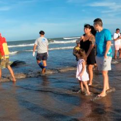 La tortuga Laúd se encuentra en estado vulnerable, según Unión Internacional para la Conservación de la Naturaleza.