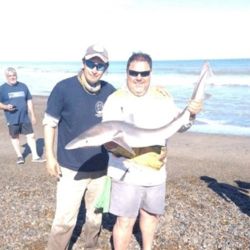Se reafirma la importancia de la Reserva de Bahía San Blas como sitio de agregación para el cazón y de cómo el ciclo de estos hermosos tiburones es tan preciso año tras año. 
