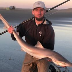 Se reafirma la importancia de la Reserva de Bahía San Blas como sitio de agregación para el cazón y de cómo el ciclo de estos hermosos tiburones es tan preciso año tras año. 