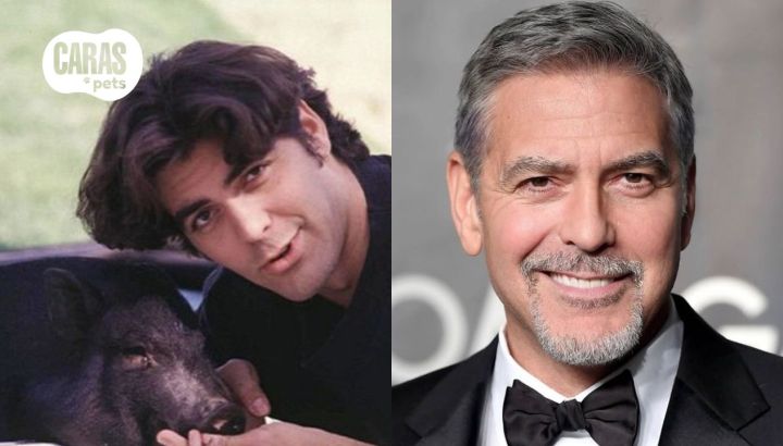 George Clooney y su cerdo Max: La historia de una amistad inusual