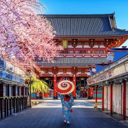 Japón sorprende por sus atractivos y sus buenos precios.