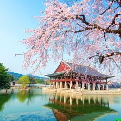 Seúl sorprende por sus templos antiguos vecinos a rascacielos modernos.