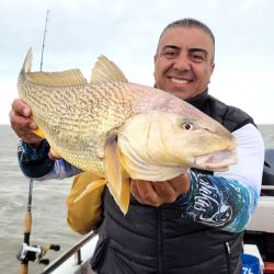 Aficionados de todo el país se acercan al paraíso del pescador deportivo a disfrutar de la multiplicidad de especies que entrega este destino.