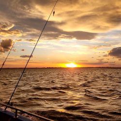 Aficionados de todo el país se acercan al paraíso del pescador deportivo a disfrutar de la multiplicidad de especies que entrega este destino.