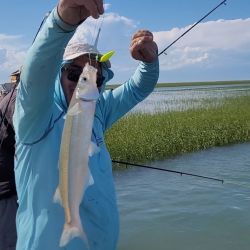 Aficionados de todo el país se acercan al paraíso del pescador deportivo a disfrutar de la multiplicidad de especies que entrega este destino.