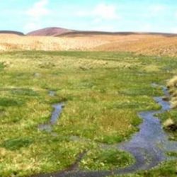 En la Argentina hay más de 50 proyectos de litio ubicados, principalmente, en las provincias de Salta, Catamarca y Jujuy