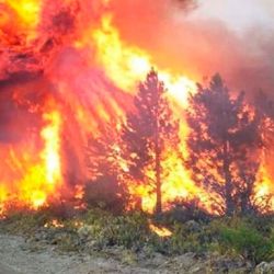 El fuego sigue activo en El Bolsón.