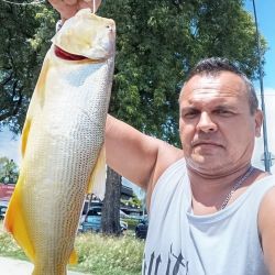 El Parque de la Memoria está ubicado frente al Río de la Plata, sobre la Avenida Costanera Norte 6745 de la Ciudad de Buenos Aires en el punto lindante con la Ciudad Universitaria de la UBA, unos 300 metros al norte del Aeroparque.