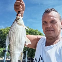 El Parque de la Memoria está ubicado frente al Río de la Plata, sobre la Avenida Costanera Norte 6745 de la Ciudad de Buenos Aires en el punto lindante con la Ciudad Universitaria de la UBA, unos 300 metros al norte del Aeroparque.