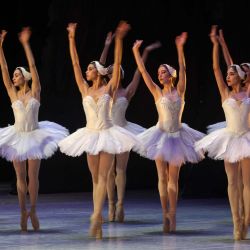 Imagen de bailarinas de la Compañía Nacional de Danza de México realizando una presentación de "El Lago de los Cisnes" en la Sala Principal del Palacio de Bellas Artes, en la Ciudad de México, capital de México. | Foto:Xinhua/Francisco Cañedo