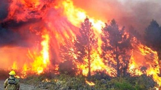 Incendios forestales: refuerzan los operativos para tratar de contener el fuego en El Bolsón