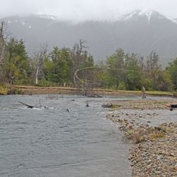 Dos ríos y una laguna de Chubut con una pesca más que interesante: El Pedregoso y el Carrileufú, en Cholila, y la Willimanco en Esquel. 