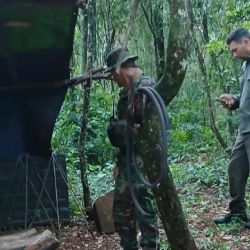 El operativo contra la caza ilegal dio resultado positivo.