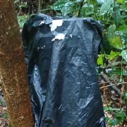 Los efectivos desactivaron cinco saleros y seis sobrados o esperas.