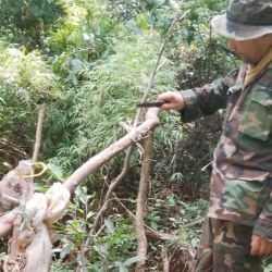 Al infractor le incautaron una escopeta calibre 28 y cinco cartuchos.