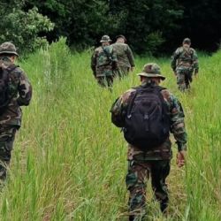 El operativo estuvo a cargo de guardaparques del Grupo de Operaciones en Selva, zona Sur 