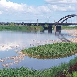 Foto: río Salado, Santa Fe. Gentileza UNL.