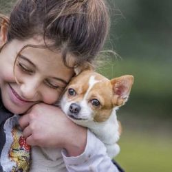 Los perros, sobre todo, son animales sociales que necesitan nuestra compañía. 