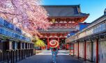 Cuánto sale un tour a Japón, el país de moda para los argentinos