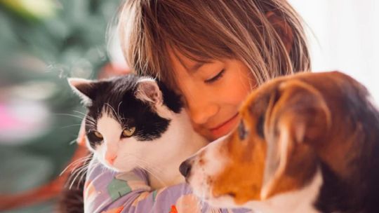 Día Mundial de Amar a tu Mascota: 5 consejos para devolverles su incondicional amor