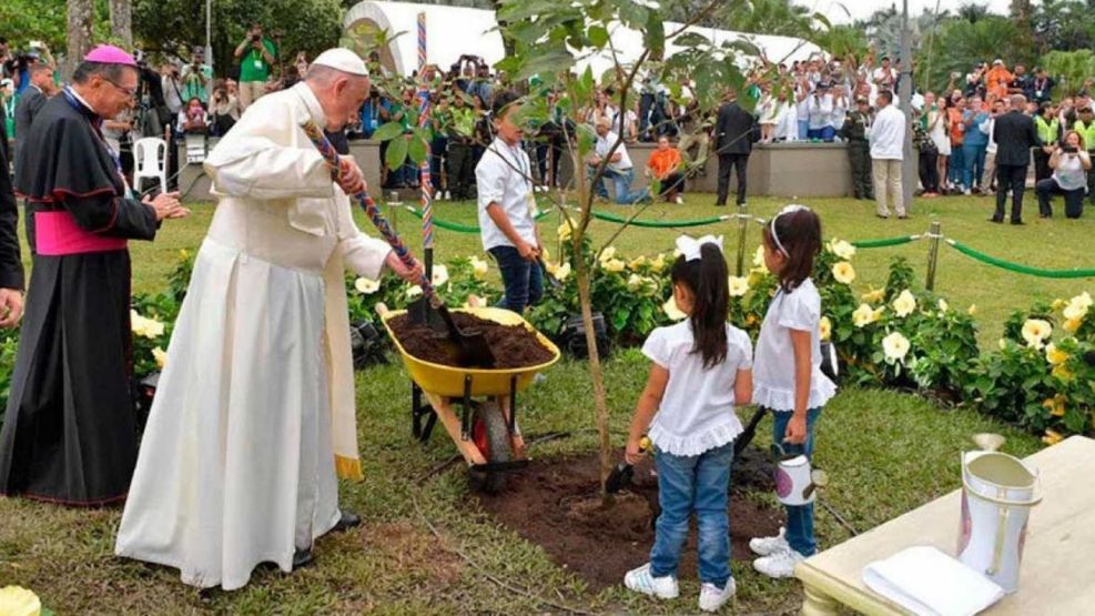 Papa Francisco ecología