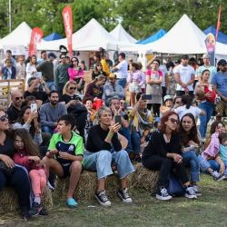 Junín tendrá la tercera edición de Festival Pampa 2025 durante el feriado de Carnaval 2025.