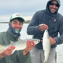 El último tramo de febrero llega con buen pique y mucho calor. Expectativa de cara a un mes de marzo que promete ser muy interesante. 