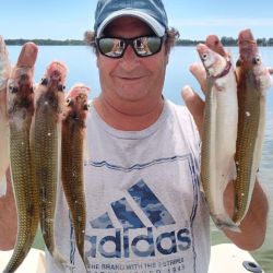 El último tramo de febrero llega con buen pique y mucho calor. Expectativa de cara a un mes de marzo que promete ser muy interesante. 