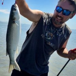 El clima ha jugado un papel fundamental porque la laguna cambia constantemente su nivel: ante las pocas lluvias y la consecuente falta de aporte de agua de canales y arroyos, depende exclusivamente del mar.