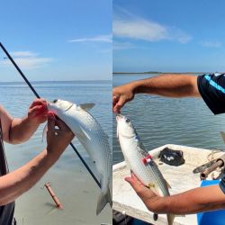 El clima ha jugado un papel fundamental porque la laguna cambia constantemente su nivel: ante las pocas lluvias y la consecuente falta de aporte de agua de canales y arroyos, depende exclusivamente del mar.